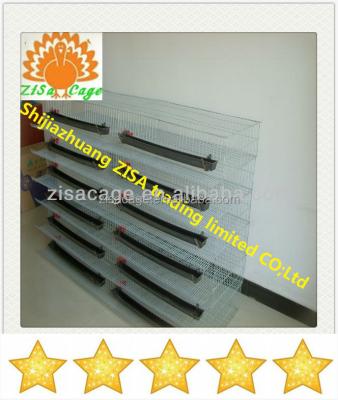 China Quail Quail Egg Laying Cages Cheap Price for sale