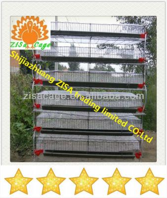 China Quail Hot Dip Galvanized 6 Tiers Quail Cage Manufacturers Price for sale