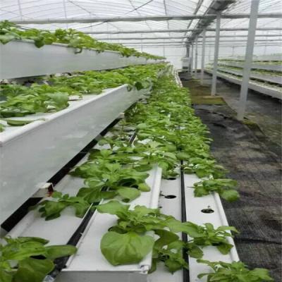 China PVC Soilless Vegetable Growing Growing Tray for sale