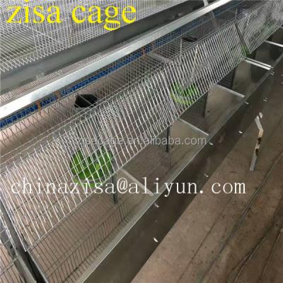 China Easy Install Zisa Plant 2 Tiers 3 Tiers 4 Tiers Rabbit Farming Cages For Sale for sale