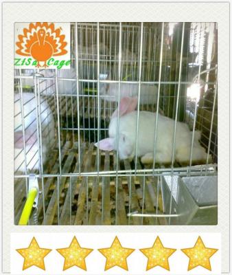 China 3 Layers Welded Bunny Rabbit Cage (Factory Direct) for sale