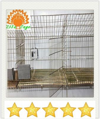 China Rabbit cage/metal wire pet cages/wire rabbit cage(factory) for sale