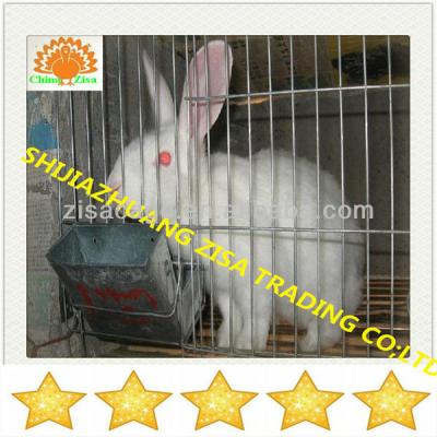 China Rabbit Kenya Rabbit Cage Farms for sale