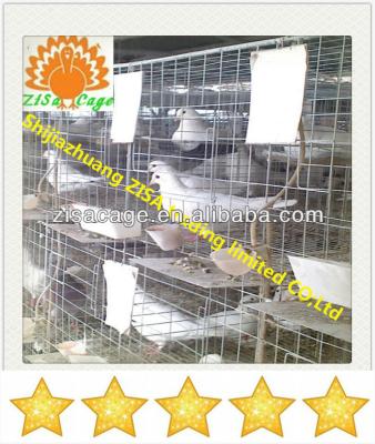 China High quality bird zisa hot dip galvanized pigeon dove cage suppiler price for sale