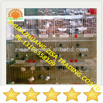 China Bird pigeon cage with drinkers and stand boxes and feeder and others for sale