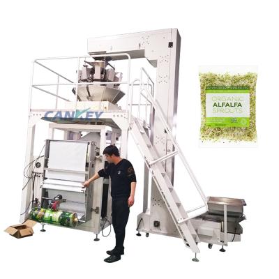 China CK-LK720 Bean Sprouts Packing Grape Packaging Machine for sale