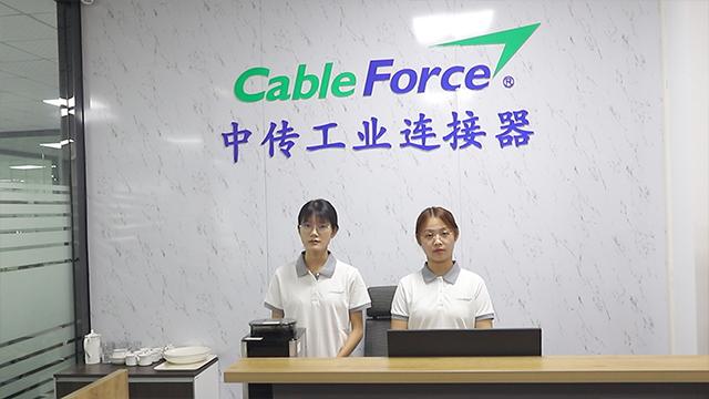 Verified China supplier - Dongguan Cableforce Connector Co., Limited.