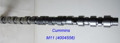 China Cummins M11 engine camshaft 4004556 for sale