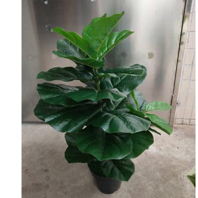 China Plastic Plants Mini Fiddle Leaf Fig Tree Artificial Minimalist Indoor Fake Garden Decoration Bonsai Plants for sale