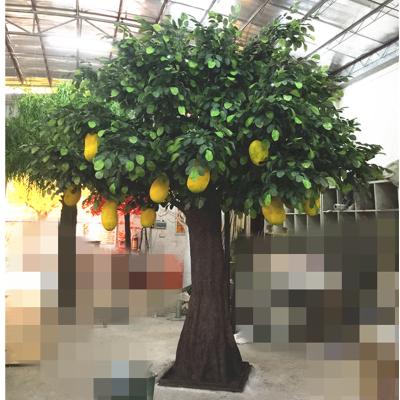 China Customized Artificial Fruit Durian Plant Tree Fiberglass Wooden Display Props Decoration Large Evergreen Durian Jackfruit for sale