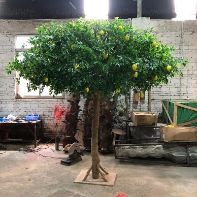 China Fake Artificial Lemon Tree Restaurant Garden Fruit Tree Artificial Evergreen Decoration Tall Tree for sale