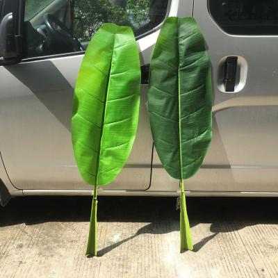 China High Simulation Environmentally Friendly Home Artificial Banana Plant Decor Large Leave Green Banana Leaves Silk Plastic for sale