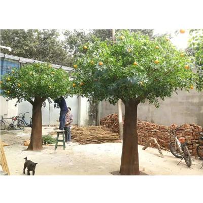 China Factory price china mango orange fruit trees fake 3m evergreen artificial lychee decoration tree for sale