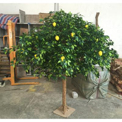 China Garden Evergreen Artificial Tree Restaurant Decorative Fruit Lemon Tree 2 3 Meters for sale