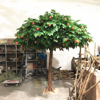 China Cheap Wooden Artificial Apple Fruit Tree Props Evergreen Home Decor Garden Fake Apple Tree for sale