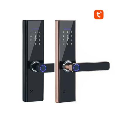 China 251 Newthee Users Digital Safe Electric Fingerprint Code Anti-theft Security Smart Door Lock NFC Card Lock for sale