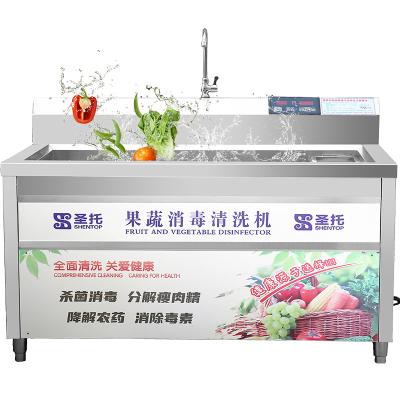 China Professional Snack Factory Fruit Washing Machine Ozone Fruit Vegetable Washing Machine Eddy Current and Fruit Vegetable Washer for sale