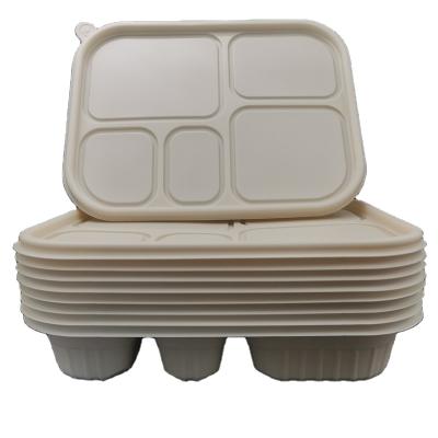 China Stocked 5 Grid Food Storage Container Disposable Cornstarch Kids Bowl Disposable Desktop Lunch Box Takeout Tableware for sale