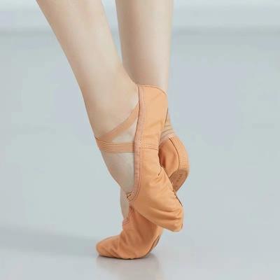 China Colorful Soft Women Girls Trainning Canvas Split Sole Dance Shoes Indoor Ballet Slippers Practice Shoes for sale