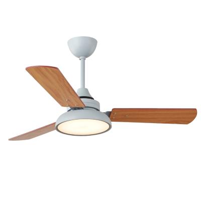 China With light simple modern support for the only custom remote control ceiling fan lamp fan lamp for sale