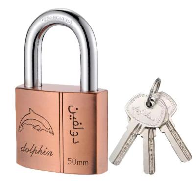 China Copper Gym Suited Padlocks Heavy Duty Weatherproof Keyed Alike With 3 Keys 50mm for sale