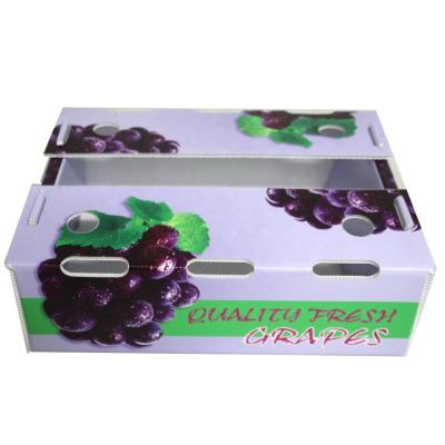 China Light Weight Corrugated Plastic Box / Hollow Board Storage Box for sale