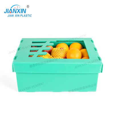 China Recyclable Customized Corrugated Plastic Fruit /Vegetable Packaging Box Corrugated Storage PP Packing Boxes For Fruits And Vegetables for sale