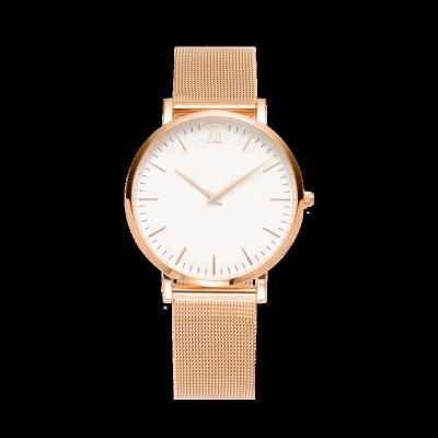 China Minimalist Alarm Elegance Brand Watch Women Watch Stainless Steel Mesh Chain Office Ladies Watch for sale