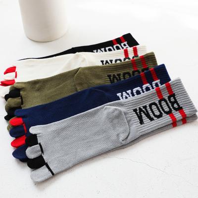 China YUELI QUICK DRY wholesale winter crew cotton fashion sweat-absorbent toe socks for sale