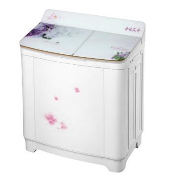 China Household 8.5KG TWIN TUBE WASHING MACHINE for sale