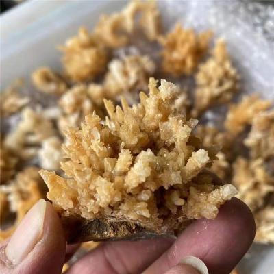 China Europe sale natural rough stalactite crystal stones cluster calcite mineral specimen for healing for sale