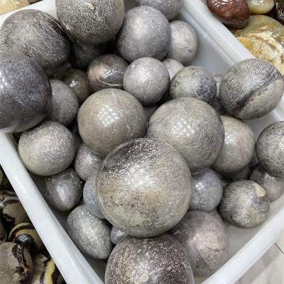 China Natural Polished Europe Dinosaur Bone Crystal Stone Sphere Fossil Balls for sale