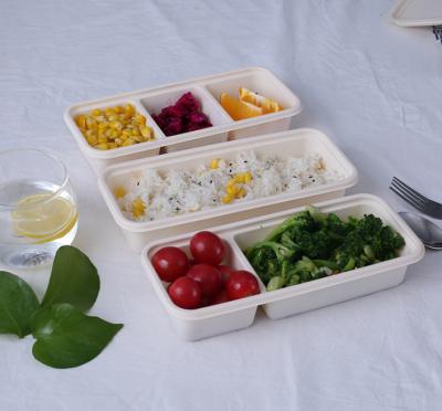 China Biodegradable Disposable Cornstarch Disposable Take Out Food Packaging Bento Lunch Box 3 Compartments for sale