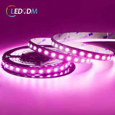 China Indoor& Individual Accessible Led Dream Light 12V Build-IC WS2815B 5050 96LEDs/m 18W/M RGB Individual Pixel Outdoor Decoration Full Color Led Programmable Light for sale