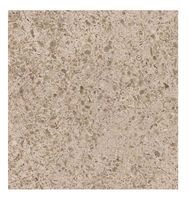 China Large Modern Portague Blossom Limestone Large Honed Brushed Brushed Finished Matted Slabs for Classic Projects for sale