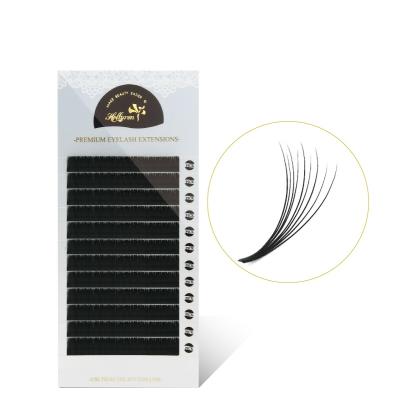 China Hollyren Full Volume New Eyelash Wholesale 3D Smart Russian Private Label Eyelash Extensions for sale