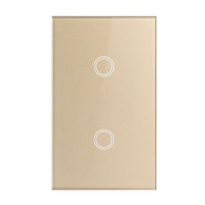 China 1/2/3/4 Gang Electrical Plastic Housing Australia Iot Wall Modular Smart Switches With Dimmer for sale