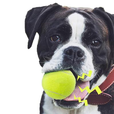 China Viable Wholesale Interactive Tennis Ball Toy Bola Cachorro Pelota Perro Juguetes Para Perro de Chien for sale