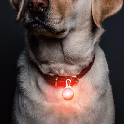 China Silicone Padded Removable Dog ID Tag Circle Rounded Colorful Led Accessories For Dog for sale