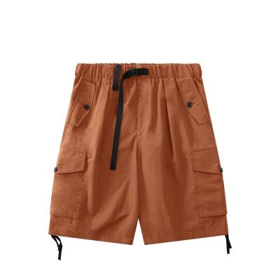 China Anti-wrinkle Custom loose fitting casual work shorts New Spring/Summer 2023 trendy outdoor work shorts for men for sale