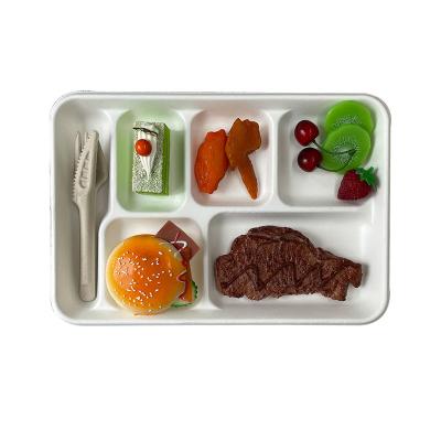 China Morden Luxury Disposable Food Trays Food Tray Sugar Cane Bagasse 6 Compartment Biodegradable Tray for sale