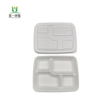 China Minimalist Sugar Cane Bagasse Plates 4 Compartment Trays 280*220mm Biodegradable and Compostable for sale