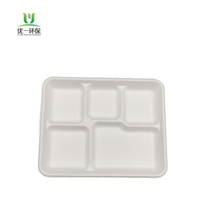 China Minimalist 21x26cm Sugarcane Bagasse Plates 5 Compartment Trays Biodegradable and Compostable for sale