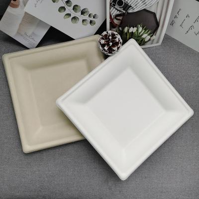 China Disposable Bagasse Paper Pulp Cake Tray Disposable Dishes Plate Set 100% Biodegradable Trays Fit Stores for sale