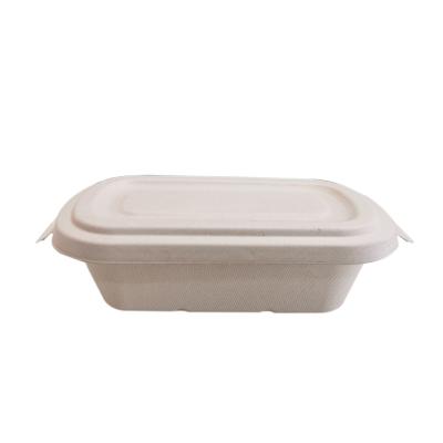 China Bento Box 1000ml Luxury Environmentally Friendly 100% Compostable Food Bagasse Morden Sugarcane Takeaway Container for sale