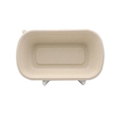 China Disposable Biodegradable Sugar Cane Bagasse Food Storage Container for sale