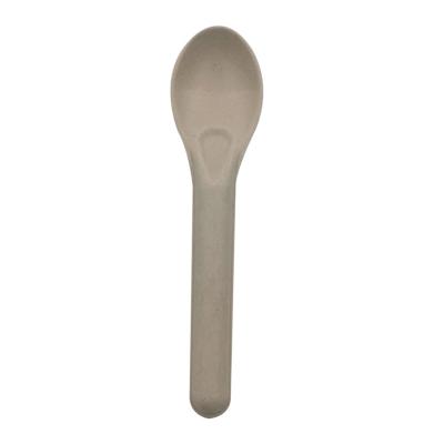 China Disposable Biodegradable Disposable Sugarcane Bagasse Food Spoon 4