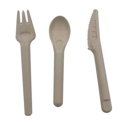 China Eco Friendly Disposable Disposable Sugarcane Bagasse Fork For Noodle for sale