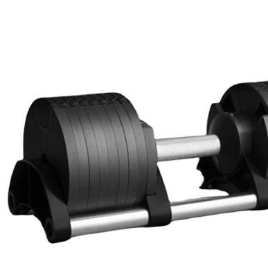 China Hot Selling Dumbbell Adjustable Dumbbell 20kg and32kg for sale