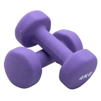 China Factory Supply New Product Direct Process Matte Surface Plastic Dip Wear Resistant Cast Iron Dumbbell Set For Gym Training Fitness Equipment for sale